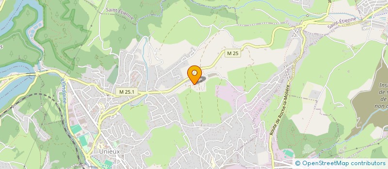 localisation de l'entreprise MADAME SYLVIE BESNARD  UNIEUX