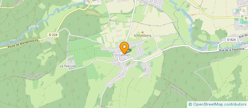 localisation de l'entreprise MADAME SYLVIE BLAESS  COSSWILLER