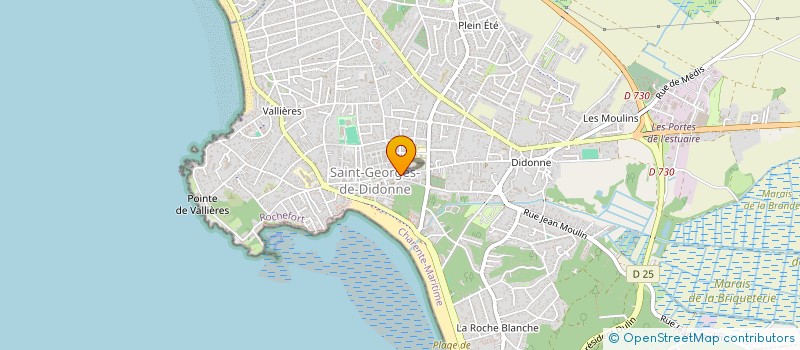 localisation de l'entreprise MADAME SYLVIE BLANCHARD à SAINT-GEORGES-DE-DIDONNE