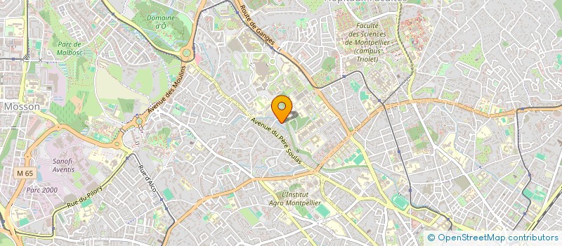 localisation de l'entreprise MADAME SYLVIE BLANGY à MONTPELLIER