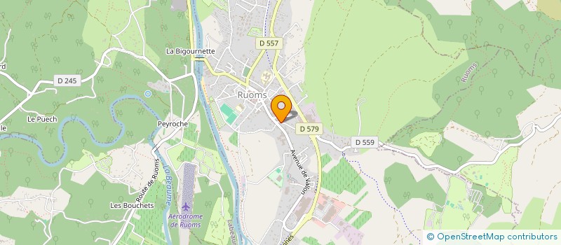 localisation de l'entreprise MADAME SYLVIE BLOSSIER  RUOMS