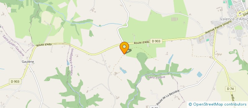 localisation de l'entreprise MADAME SYLVIE BONNAFOUS  VALENCE D'ALBIGEOIS