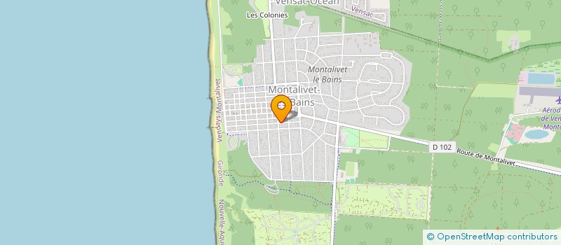 localisation de l'entreprise MADAME SYLVIE BOUANICH  VENDAYS-MONTALIVET