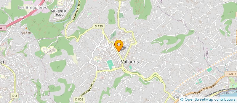 localisation de l'entreprise MADAME SYLVIE BUSSI à VALLAURIS