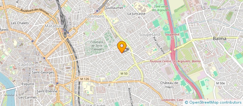 localisation de l'entreprise MADAME SYLVIE CHAPELLE  TOULOUSE