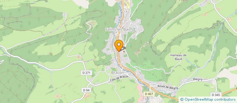 localisation de l'entreprise MADAME SYLVIE CHEVROTON  SALINS-LES-BAINS