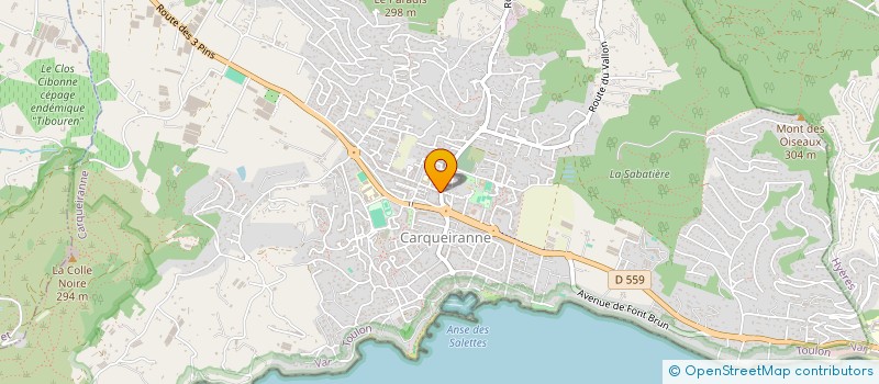 localisation de l'entreprise MADAME SYLVIE CHIOTTI  CARQUEIRANNE