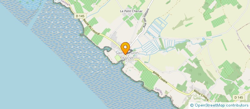 localisation de l'entreprise MADAME SYLVIE CHUSSEAU à CHENAC-SAINT-SEURIN-D'UZET