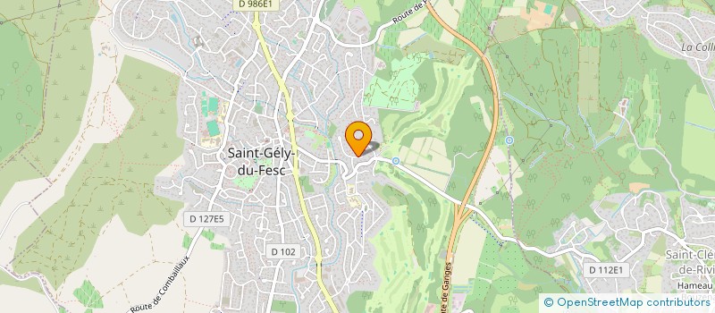 localisation de l'entreprise MADAME SYLVIE CLAIRE  SAINT-GELY-DU-FESC