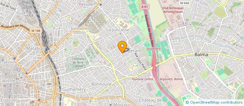 localisation de l'entreprise MADAME SYLVIE COSTES  TOULOUSE