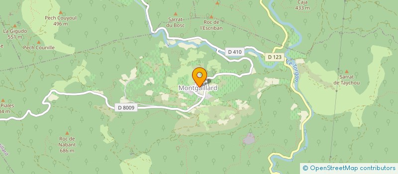 localisation de l'entreprise MADAME SYLVIE COSTILLE AUGE  MONTGAILLARD