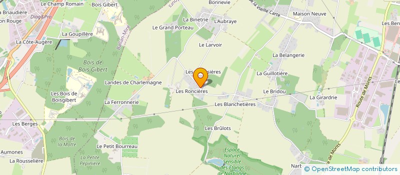 localisation de l'entreprise MADAME SYLVIE COUVREUR  JOUE-LES-TOURS