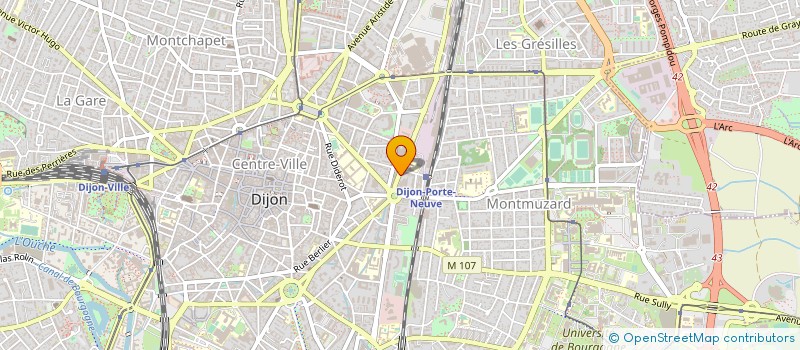 localisation de l'entreprise MADAME SYLVIE DE BIASIO à DIJON