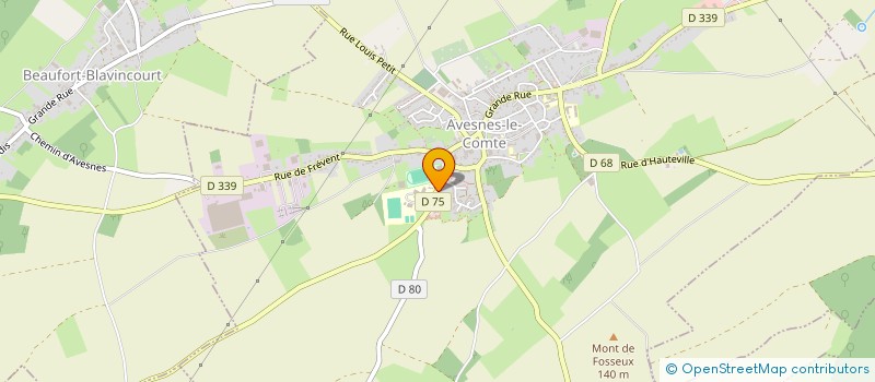 localisation de l'entreprise MADAME SYLVIE DEFOSSEUX  AVESNES-LE-COMTE