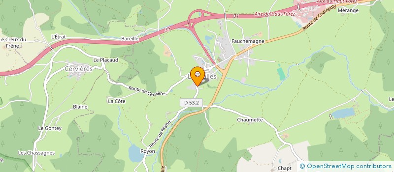 localisation de l'entreprise MADAME SYLVIE DELORME  SAINT-JEAN-LA-VETRE