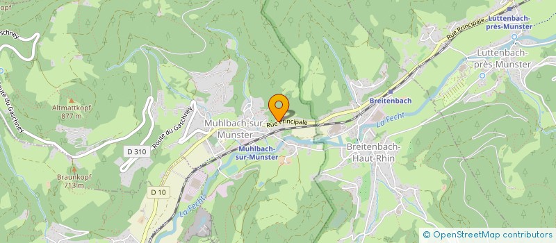 localisation de l'entreprise MADAME SYLVIE DELRIEU  MUHLBACH-SUR-MUNSTER