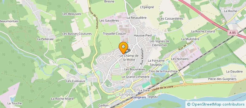 localisation de l'entreprise MADAME SYLVIE DEMORIS  LANGEAIS