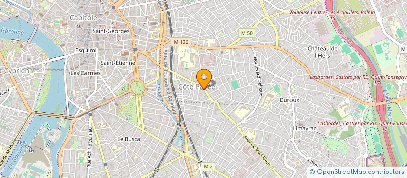 localisation de l'entreprise MADAME SYLVIE DUDYCH à TOULOUSE