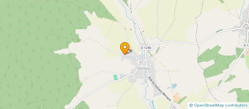 localisation de l'entreprise MADAME SYLVIE DUVAL à BOURBONNE-LES-BAINS