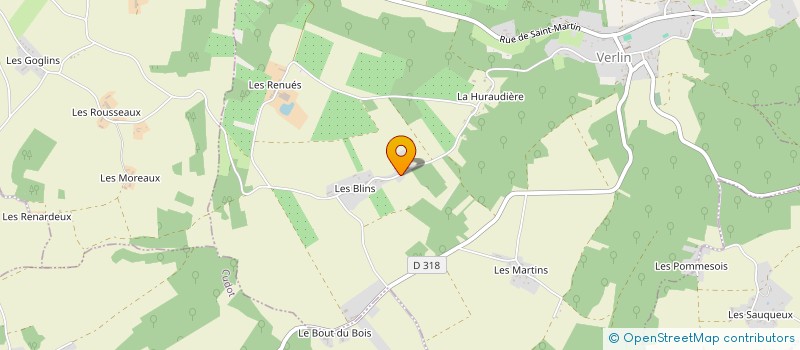 localisation de l'entreprise MADAME SYLVIE DUVAL  VERLIN