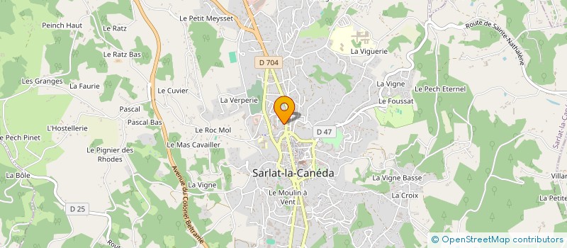 localisation de l'entreprise MADAME SYLVIE FONSEGRIVE à SARLAT-LA-CANEDA