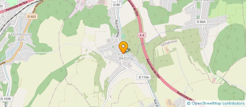 localisation de l'entreprise MADAME SYLVIE GABRIELLE KOLZ  BENING-LES-SAINT-AVOLD