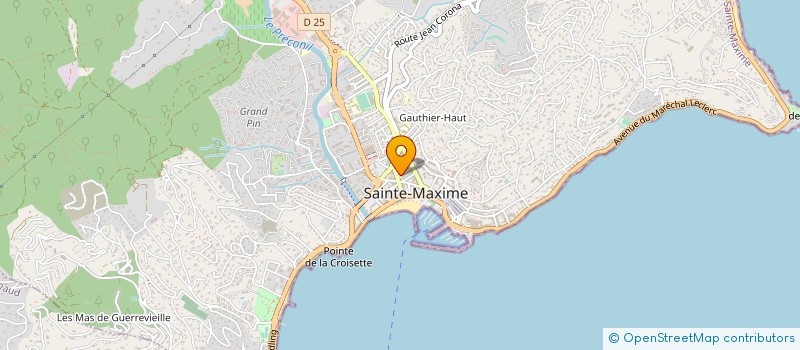localisation de l'entreprise MADAME SYLVIE GIRAUD à NICE