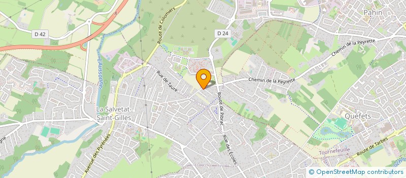 localisation de l'entreprise MADAME SYLVIE HOMMEAU  PLAISANCE-DU-TOUCH