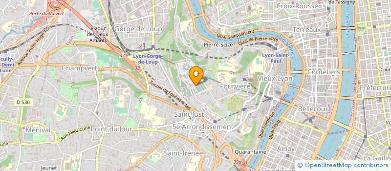 localisation de l'entreprise MADAME SYLVIE JALLON à LYON