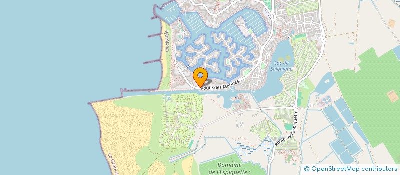 localisation de l'entreprise MADAME SYLVIE LAGACHE  LE GRAU-DU-ROI