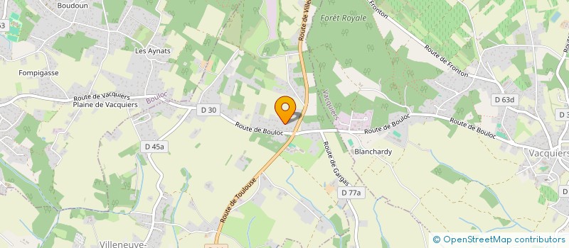 localisation de l'entreprise MADAME SYLVIE LAVIALE  VILLENEUVE-LES-BOULOC