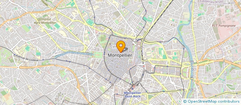 localisation de l'entreprise MADAME SYLVIE LE THI MAI-CHI à MONTPELLIER
