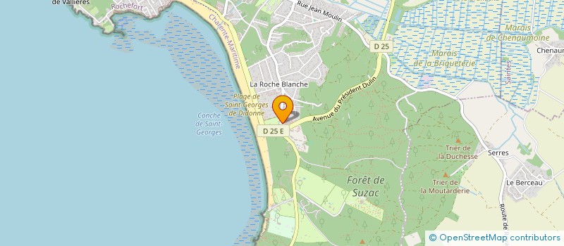 localisation de l'entreprise MADAME SYLVIE LELEVE  SAINT-GEORGES-DE-DIDONNE