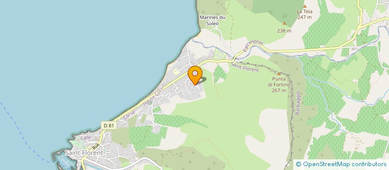 localisation de l'entreprise MADAME SYLVIE LEMOINE à SAINT-FLORENT