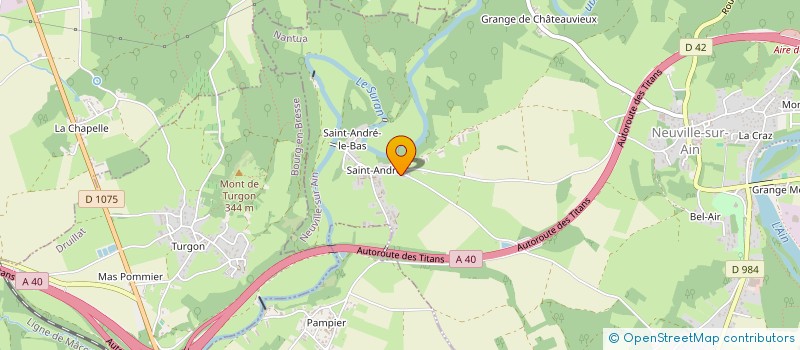 localisation de l'entreprise MADAME SYLVIE LEVRAT à NEUVILLE-SUR-AIN