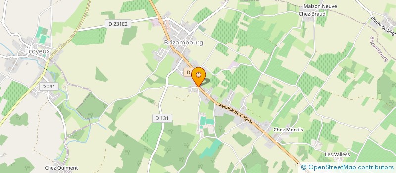 localisation de l'entreprise MADAME SYLVIE MAILLARD  BRIZAMBOURG