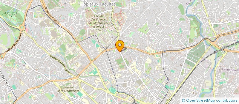 localisation de l'entreprise MADAME SYLVIE MARIE à MONTPELLIER