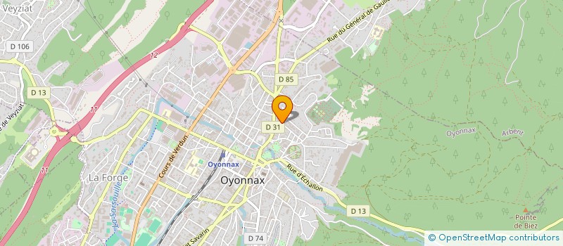 localisation de l'entreprise MADAME SYLVIE MARQUES à OYONNAX