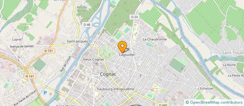 localisation de l'entreprise MADAME SYLVIE MARTIN à COGNAC