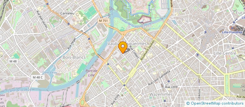 localisation de l'entreprise MADAME SYLVIE NGUYEN à LILLE