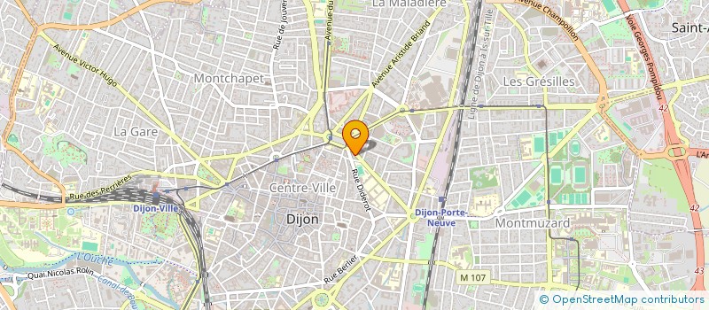 localisation de l'entreprise MADAME SYLVIE PALIE  DIJON