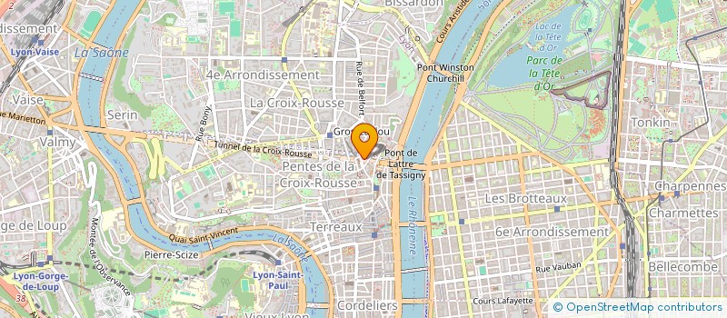 localisation de l'entreprise MADAME SYLVIE PATRU à LYON