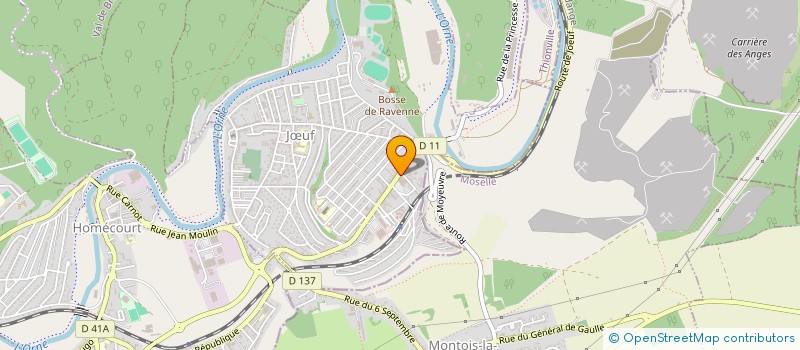 localisation de l'entreprise MADAME SYLVIE PEDROTTI  JUF