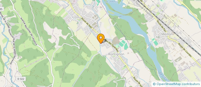 localisation de l'entreprise MADAME SYLVIE PEYRELASSE  RONTIGNON