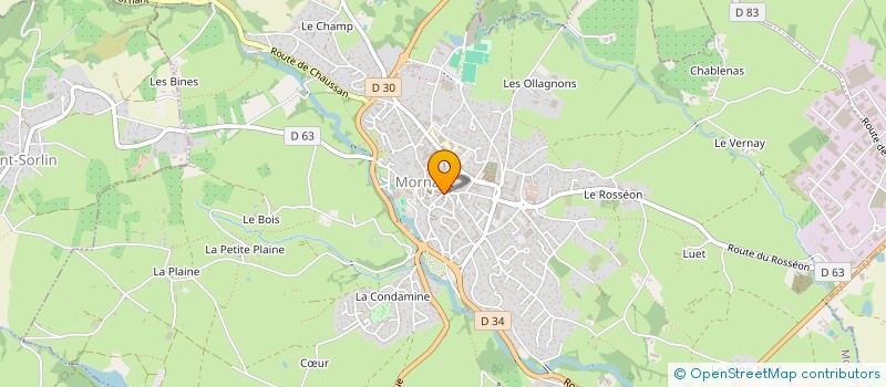 localisation de l'entreprise MADAME SYLVIE RAQUIN  MORNANT