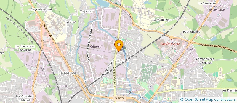 localisation de l'entreprise MADAME SYLVIE RIBEIRO à BOURG-EN-BRESSE