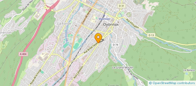 localisation de l'entreprise MADAME SYLVIE RICHEROT à OYONNAX
