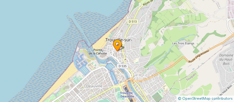 localisation de l'entreprise MADAME SYLVIE RIOULT à TROUVILLE-SUR-MER