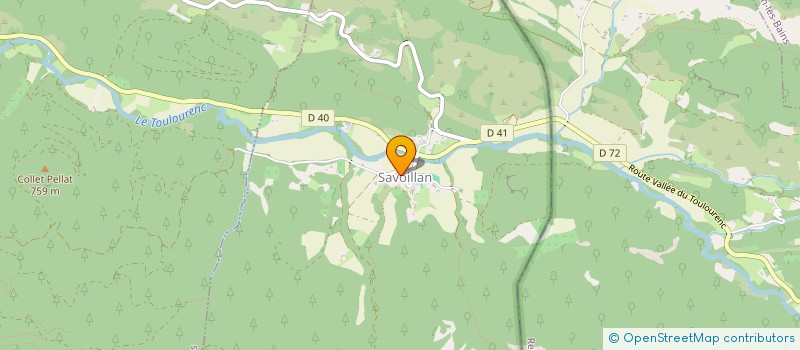 localisation de l'entreprise MADAME SYLVIE RUIZ  SAVOILLAN