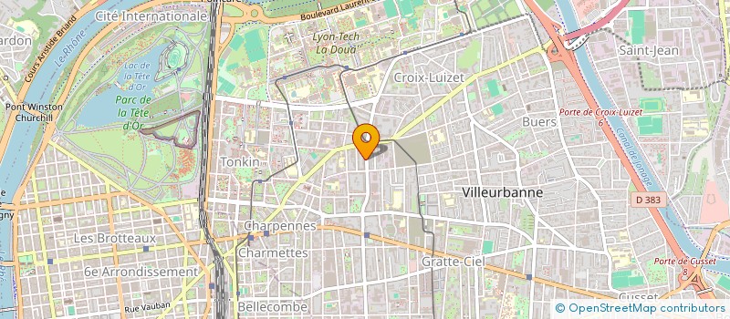 localisation de l'entreprise MADAME SYLVIE SATIN  VILLEURBANNE